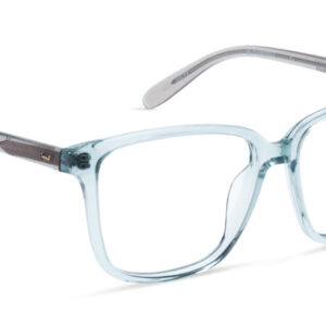 Vulk activist bio 39